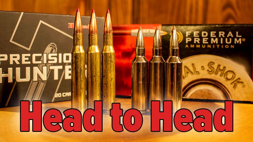 Head to Head: .270 Winchester vs. .270 WSM